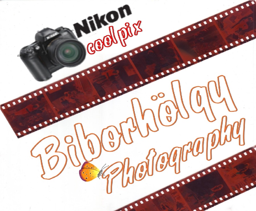 biborholgyphotography